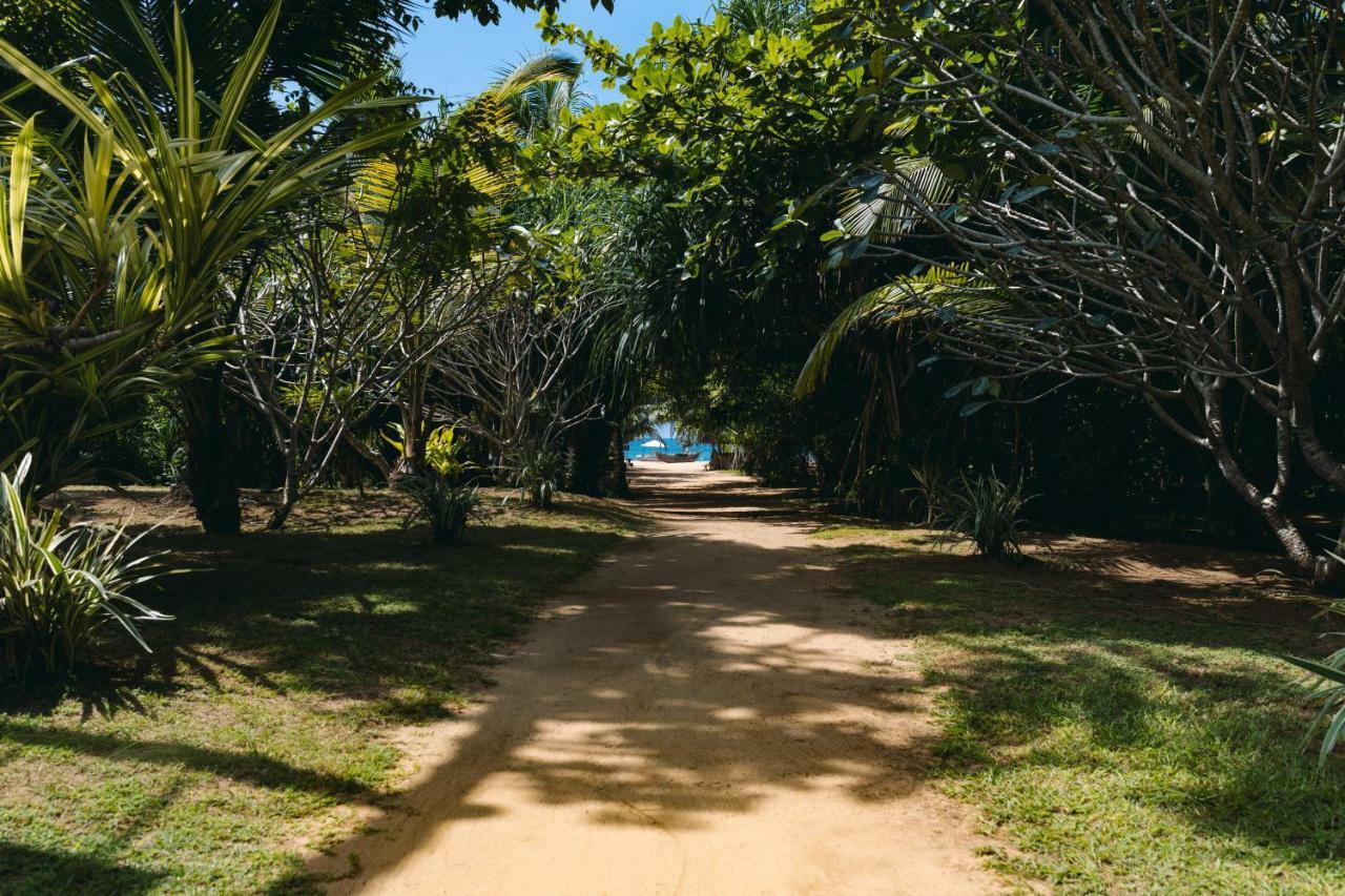 Amal Beach Hotel Bentota Exterior foto